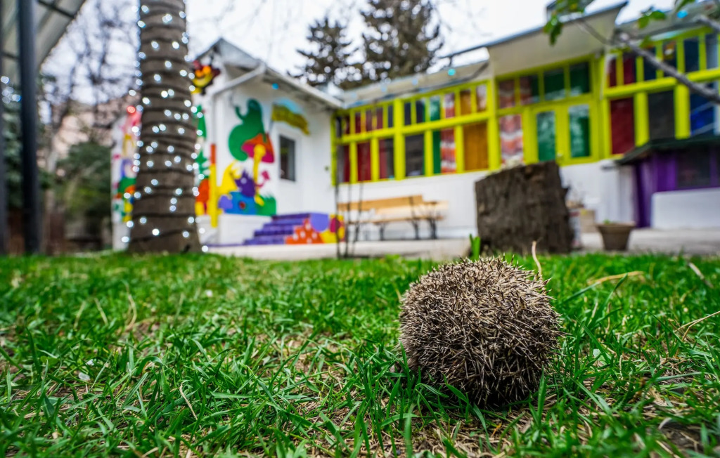 Zgarbi Hostel