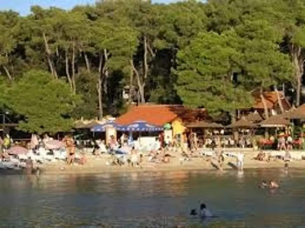 Cozy Apartment in Biograd for Maximum 4 Guests - 3 Minutes Walk to the Beach!