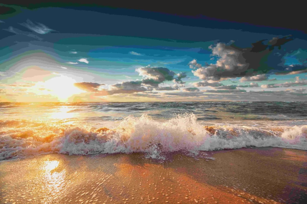 Le Paradis 5