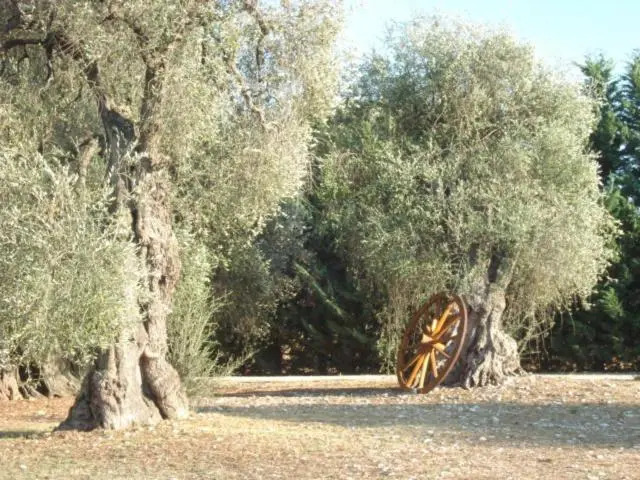 La Piana Di Calena