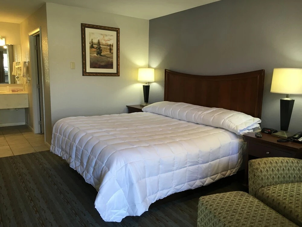 University Inn