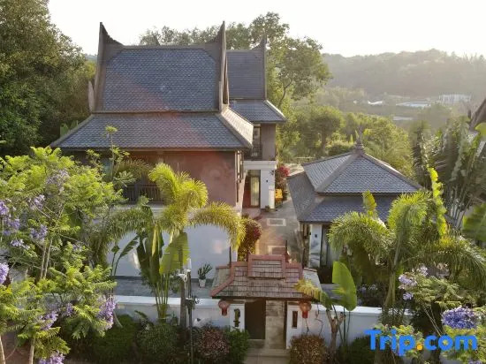 Xishuangbanna Bohai Birch Tree Hot Spring Yunshu