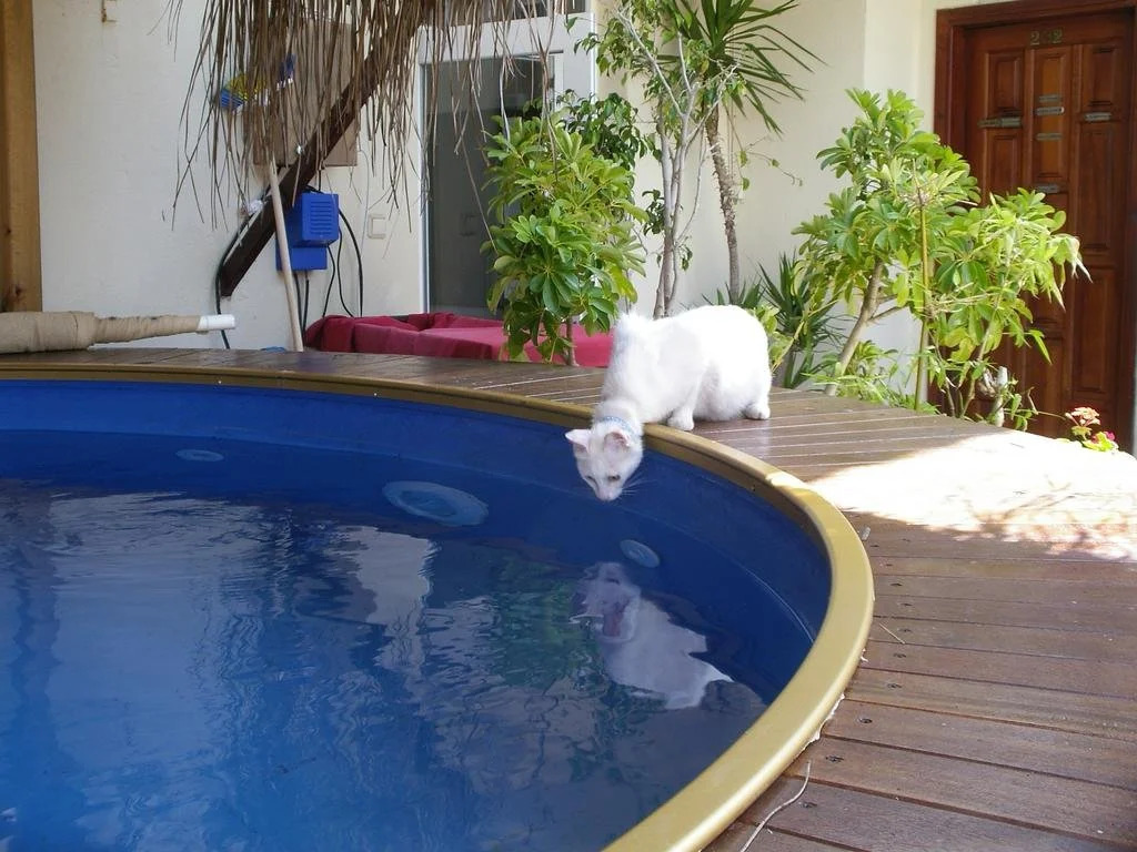 Beach House Hotel