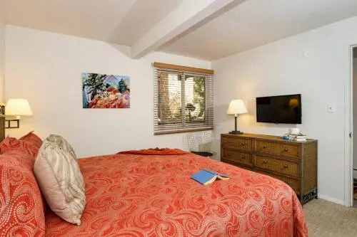 Aspen Alps Apartment #101