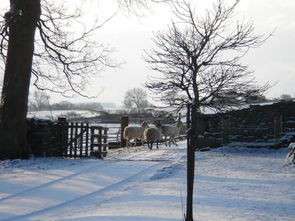 Littlebank Country House