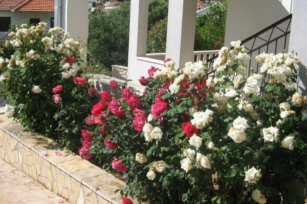 Villa Bareta