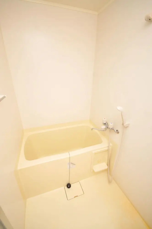 Maison Milano Nakatsu Room 402
