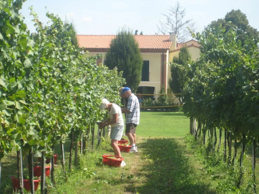 Agriturismo LAlbara - Wines, Pool & SPA