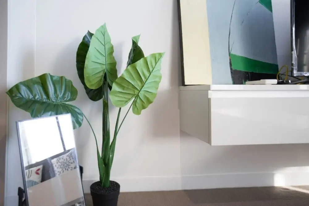 Lovely Home Close To South Cross Designer Apartment