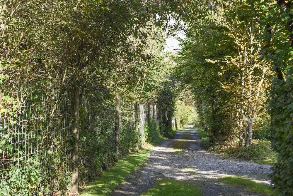The Linhay, Throwleigh