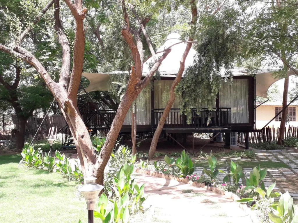 Sariska Tiger Heaven