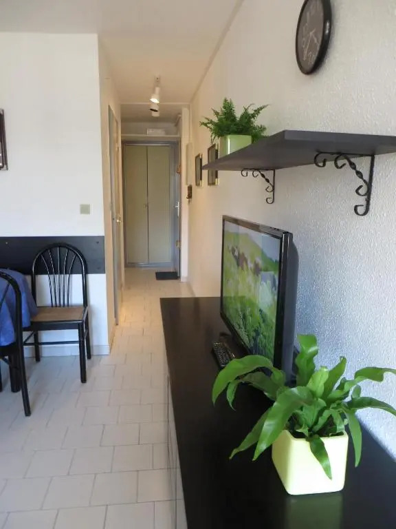 Appartement Carnon Plage
