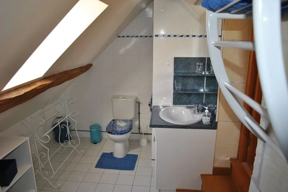 Le Tulipier de Virginie