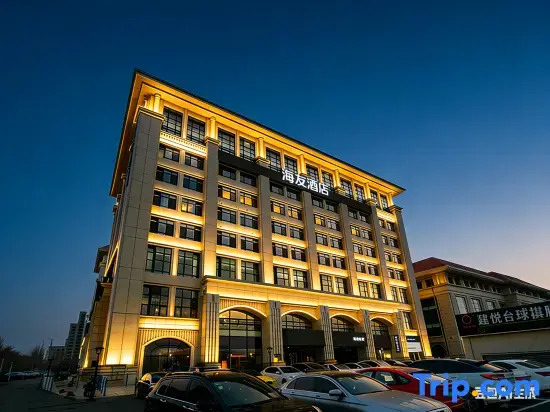 Hi Inn Hotel (Tianjin Binhai International Airport Dengzhou South Road Subway Station)