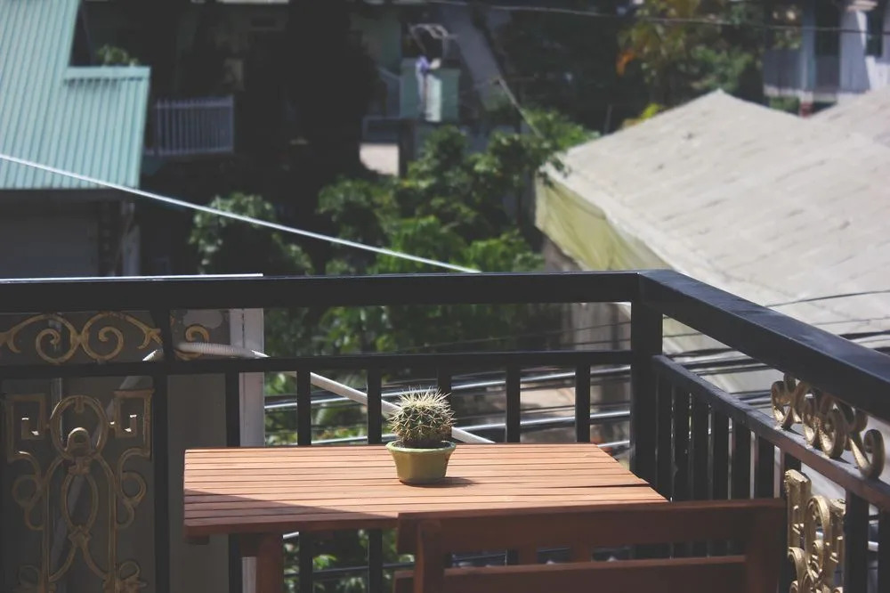 Tree House Hostel