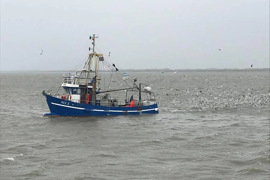 Nordsee Ferienwohnung für 2 Personen