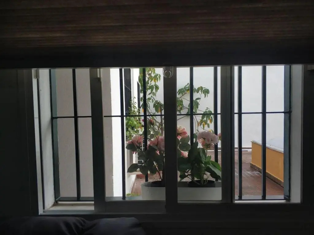 Triana Pureza 12-14