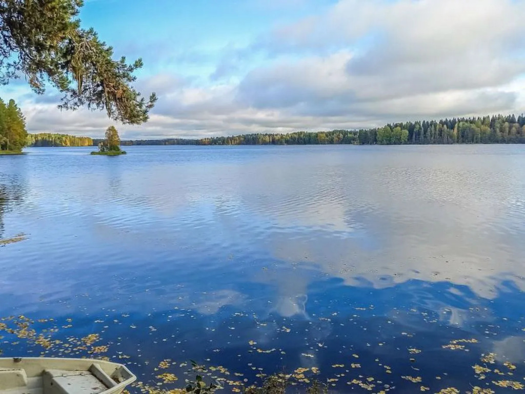 House Nilsiä 42918