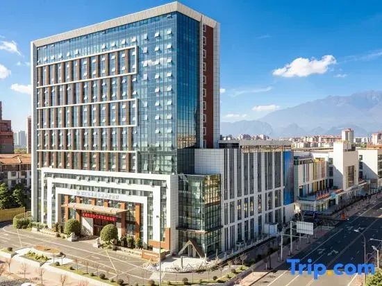Dujiangyan Mingyuan Wisdom Wellness Hotel