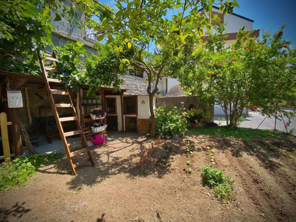 Casa Vacanze Gli Agrumi