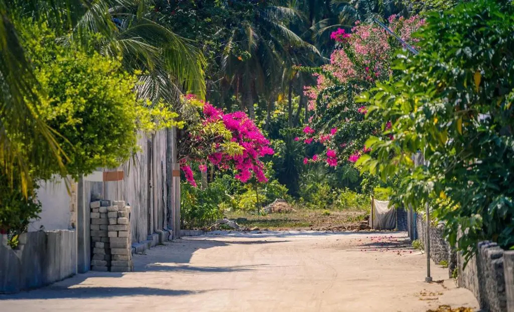 Fehendhoo Stay