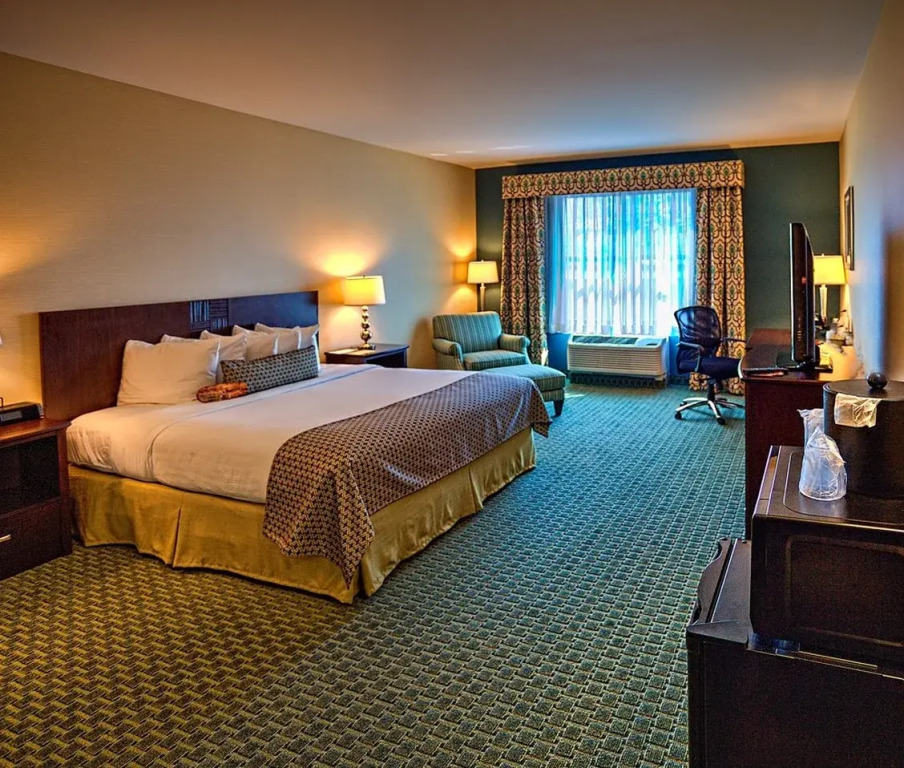 The Hotel Warner