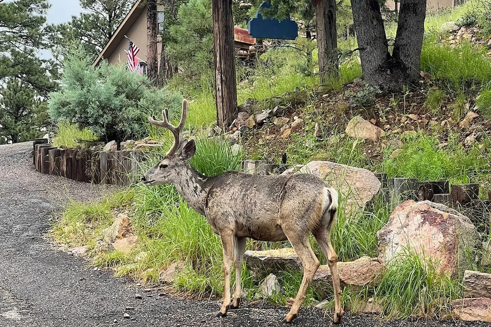 Ruidoso Home w/ Hot Tub, Mtn Views & Game Room!