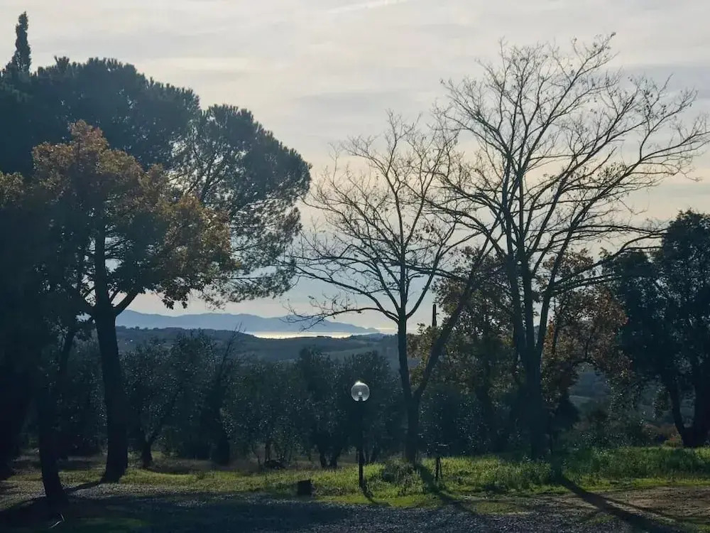 Tenuta Le Mandorlaie Agriturismo