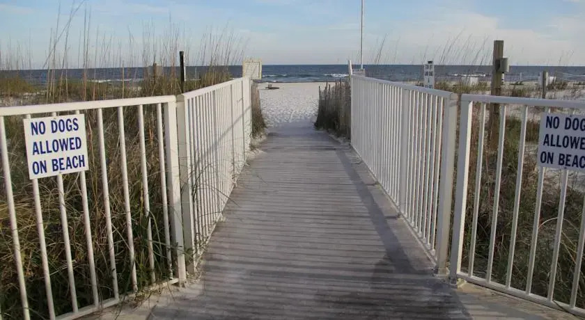 Sugar Beach 302 By Sugar Sands Realty & Management