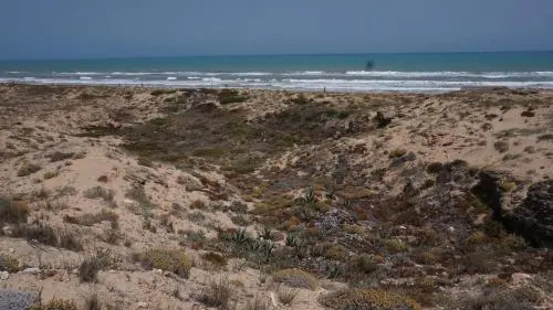 Studio w La Mata