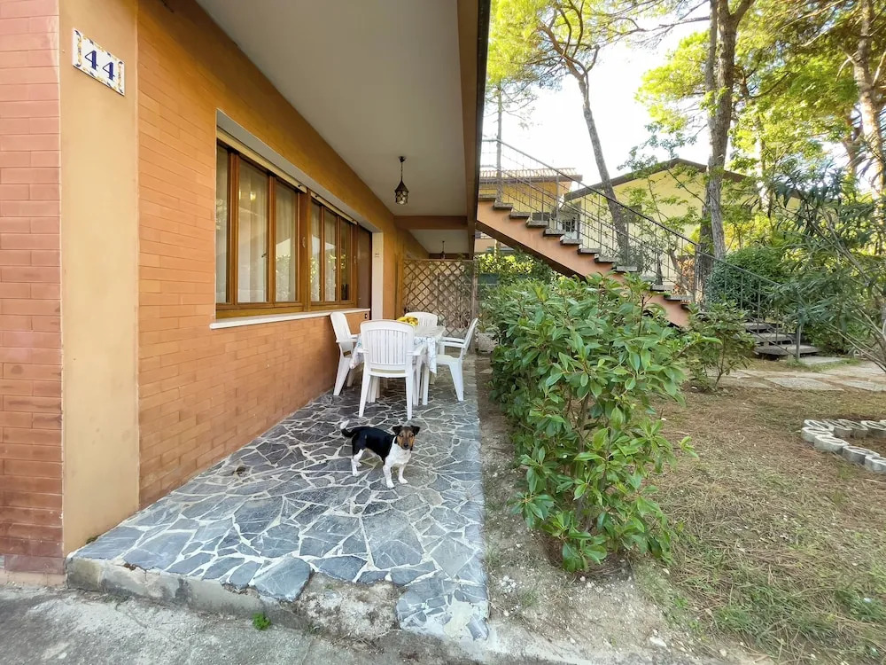 Quiet Flat With Garden