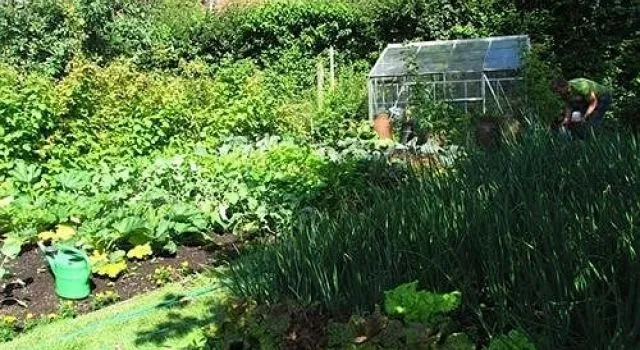 School Cottages BB  Self-Catering