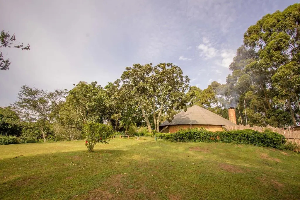 Bushara Island Camp