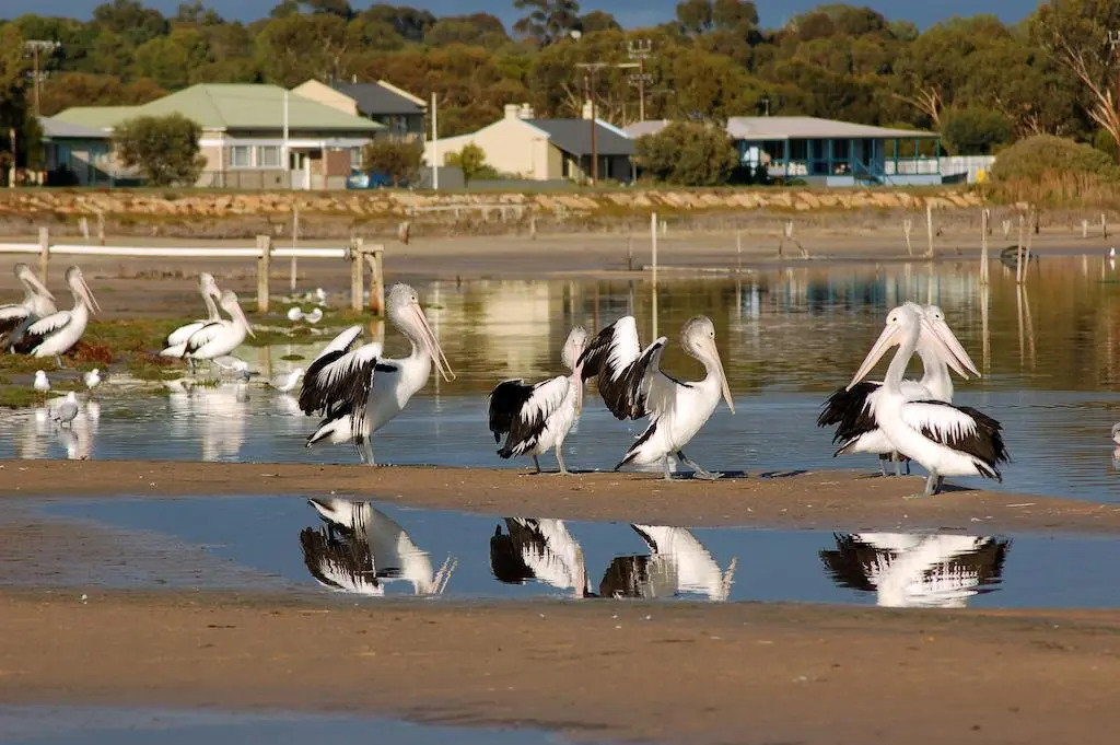 Meningie's Waterfront Motel