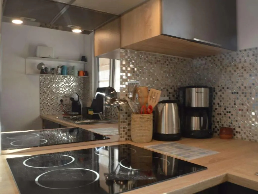 Appartement Banyuls-sur-Mer, 3 pièces, 6 personnes - FR-1-225C-49