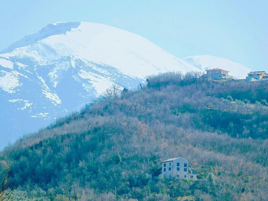 La casa dalle finestre blu