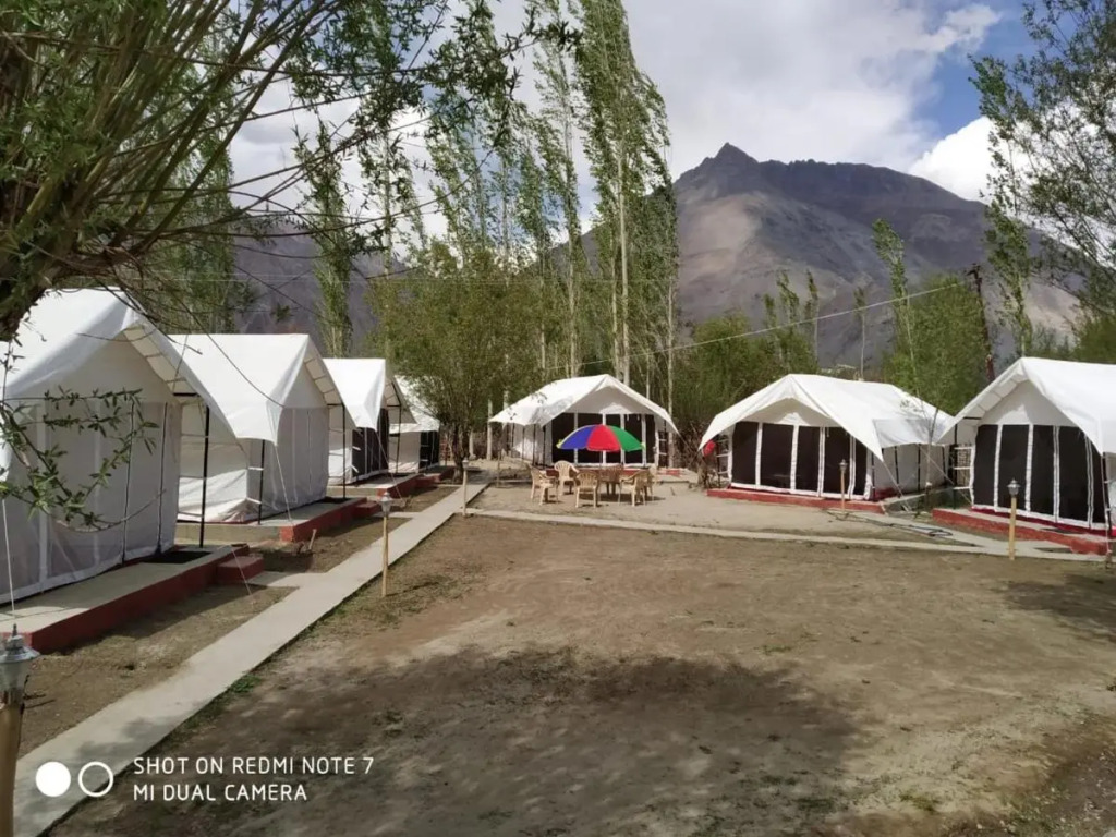Lumbini Camp Hunder, Nubra Valley