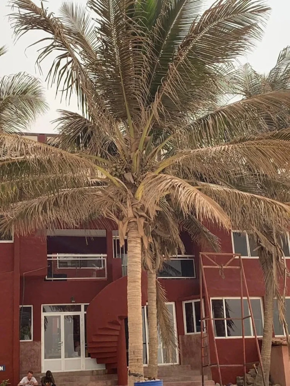 Ngor House