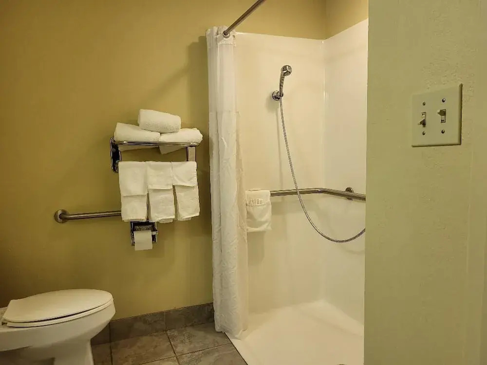 Microtel Inn & Suites by Wyndham Starkville