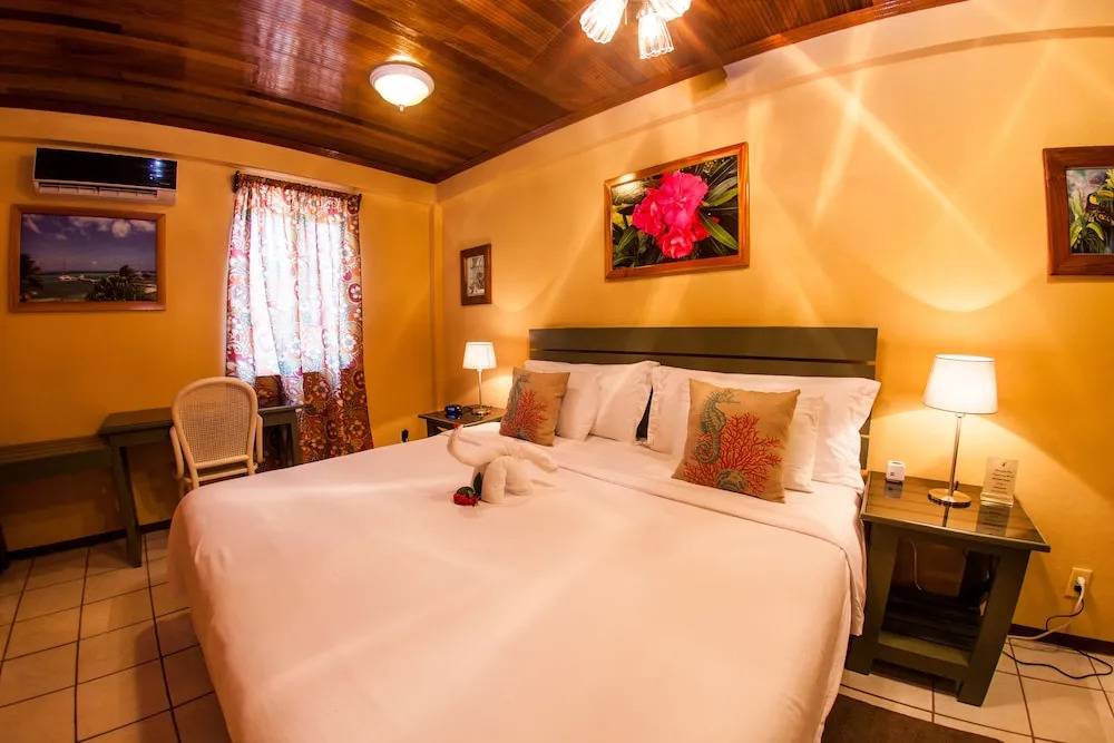 Hummingbird Suites Master King Room 3-2