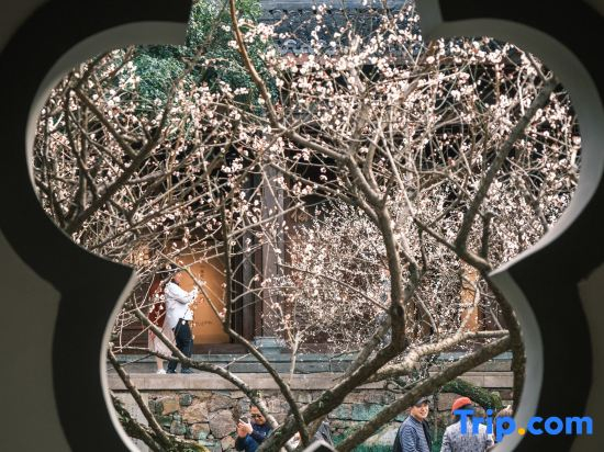 Hangzhou Shuimo Zhuang Private Home Forest Hotel (Chaoshan Scenic Area)