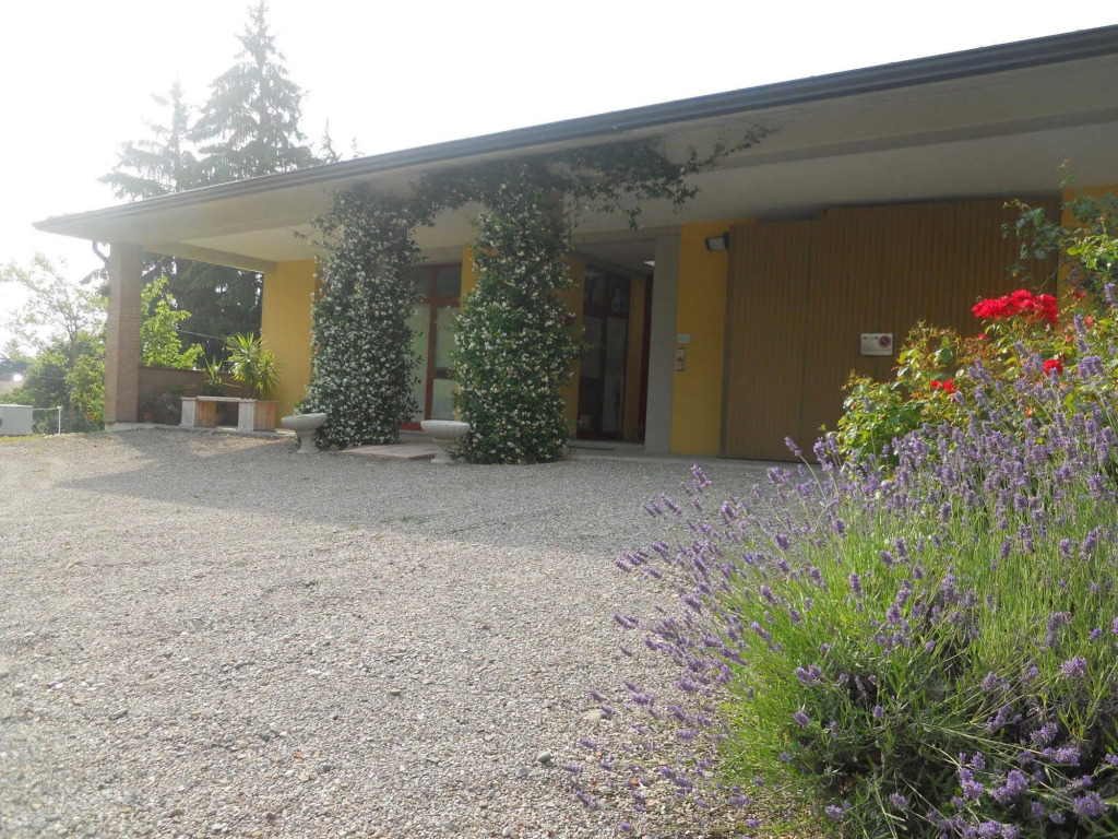 B&B Luva Fragolina
