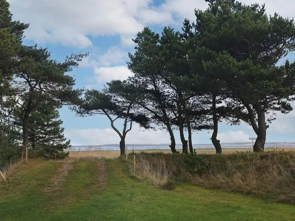 4 Star Holiday Home in Blavand