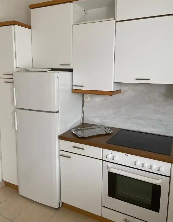 Lovely apartment in Volos next to the beach Alikes