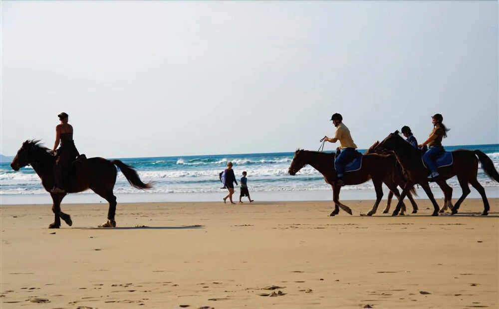 Crawfords Beach Lodge