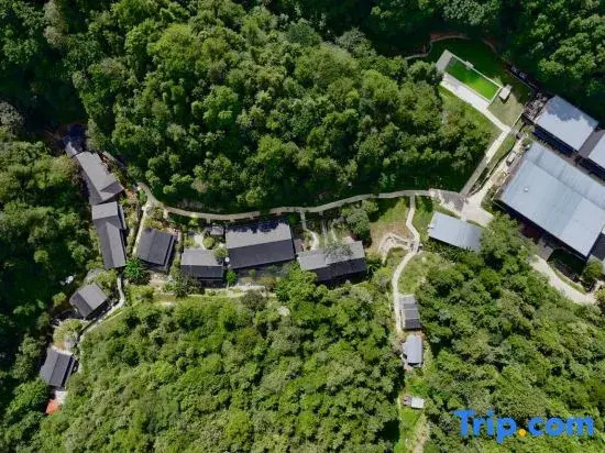 Xingsam Dongliyuan Hotels