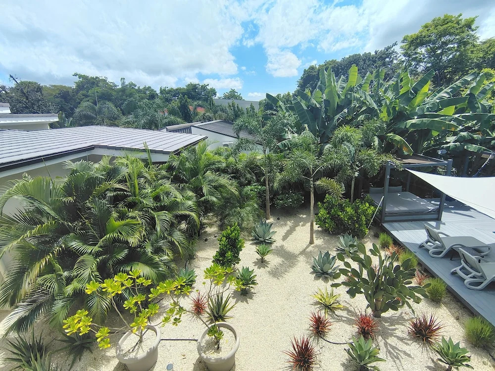 Bo Jungle - Steps to Tamarindo Beach - Surf & Pool #4