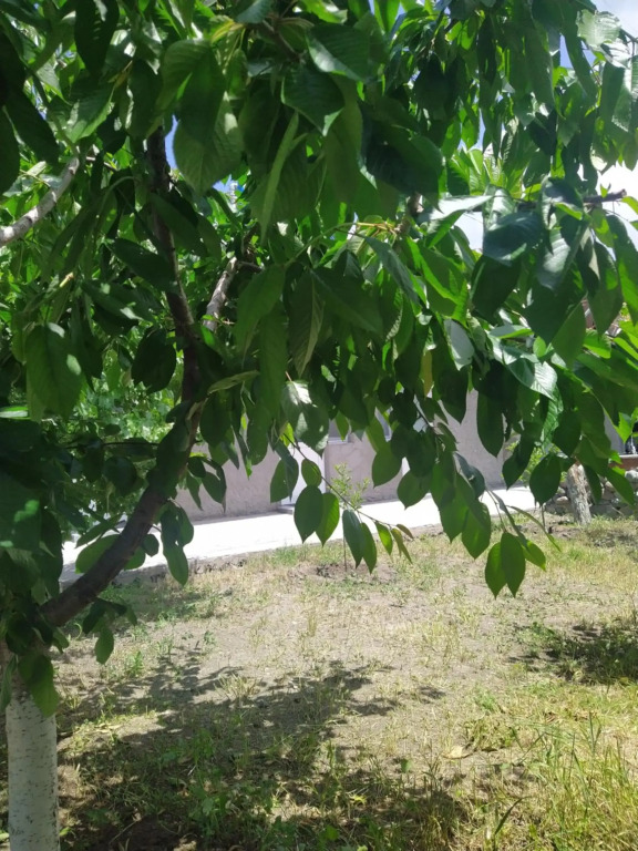 Vanand Guest House