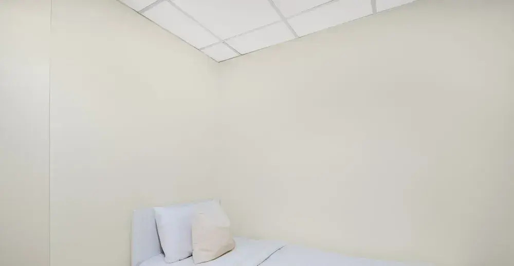 LUX The Shoreline Palm Island Suite 2