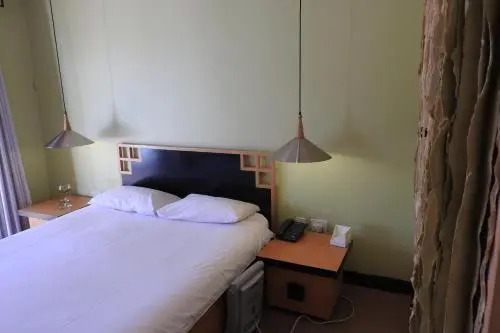Willow Place Guest House